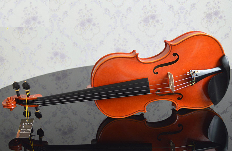 Violino